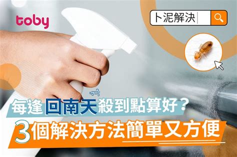 天花板有蜘蛛|【潮濕蟲】驚現黑色潮濕蟲？教你9大清除方法 